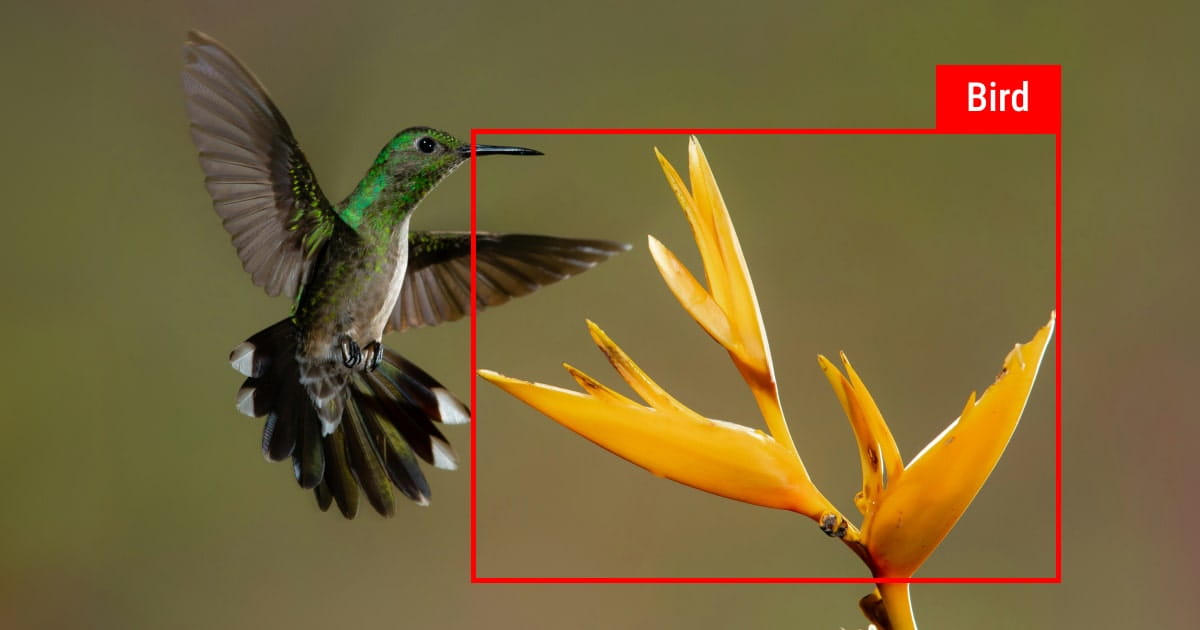 Example of poorly annotated data in computer vision