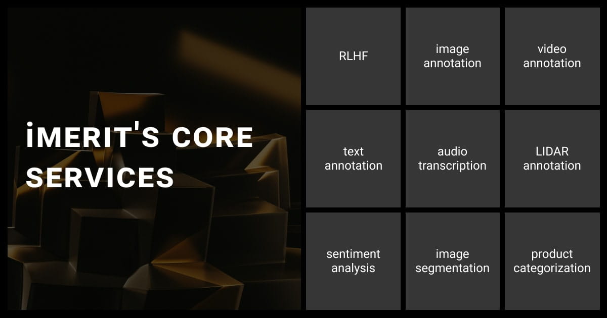iMerit's core services