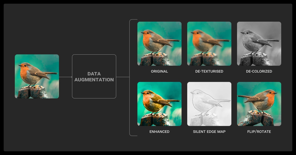 Example of data augmentation