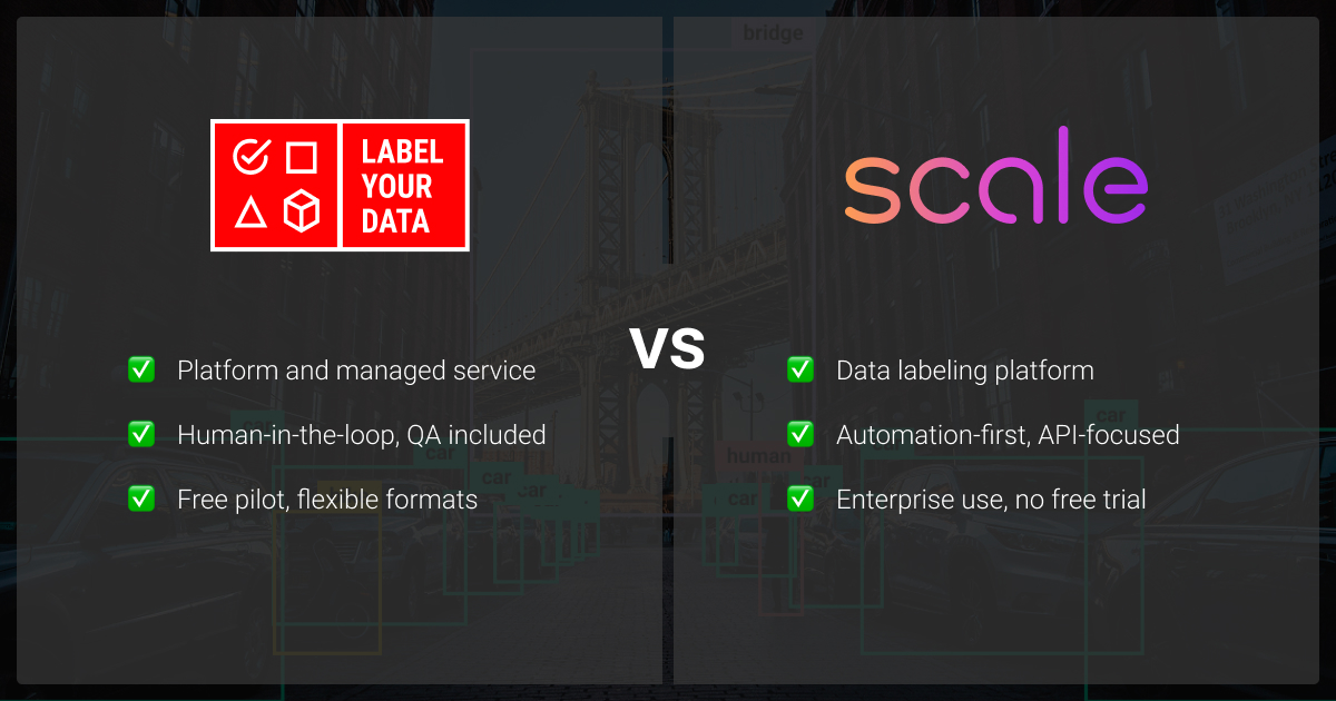 Label Your Data vs Scale AI