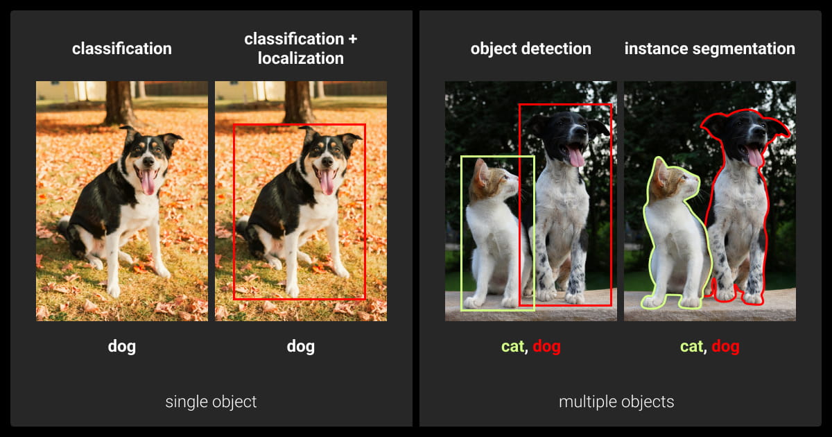 Classification vs segmentation tasks