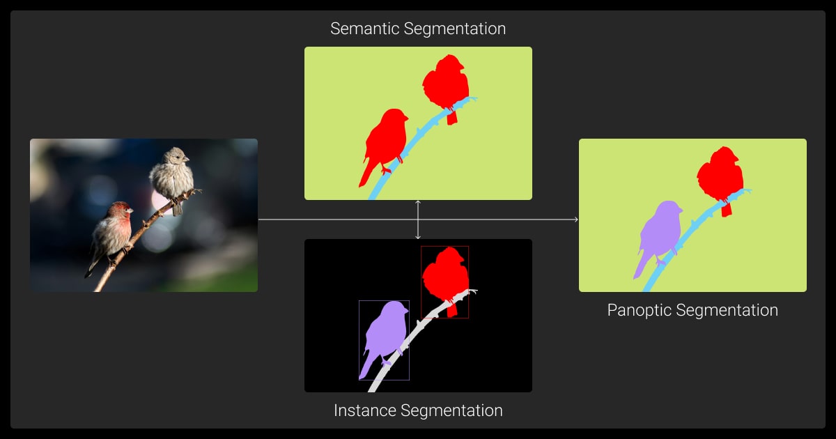 Comparison of segmentation techniques