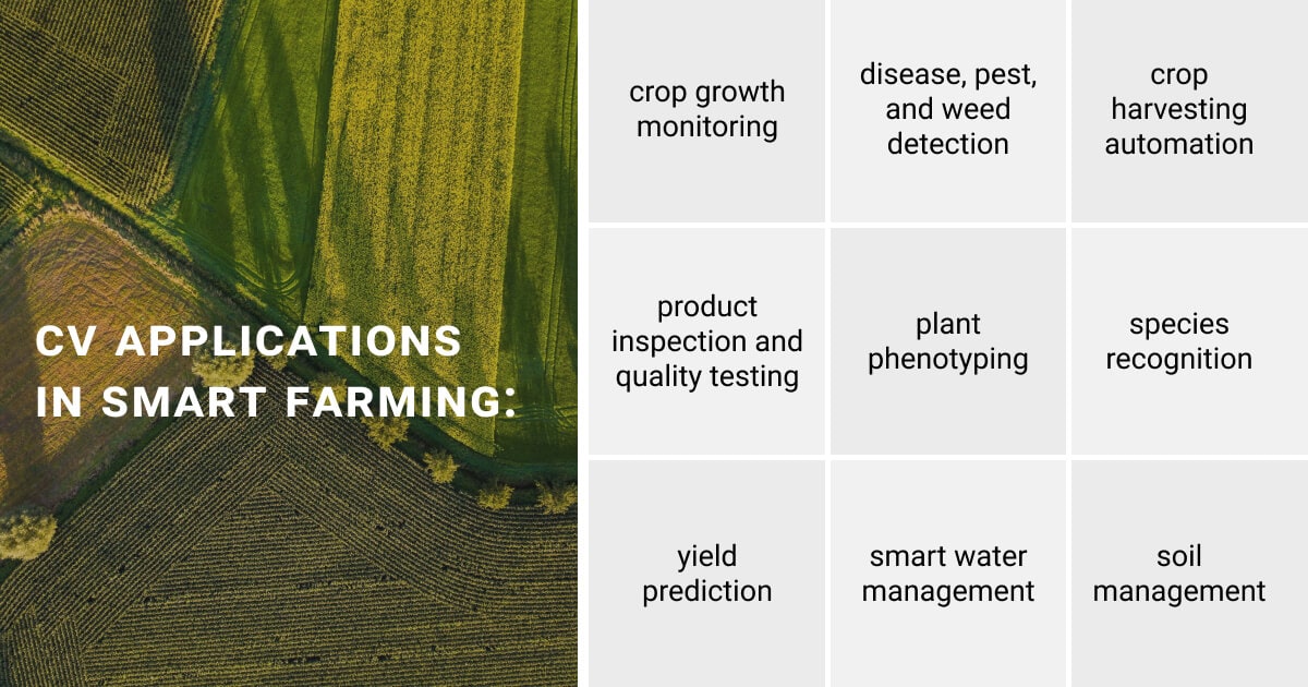 CV applications in the agricultural sector