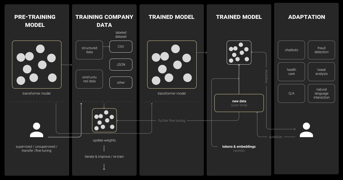 Fine-tuning role in the LLM development lifecycle