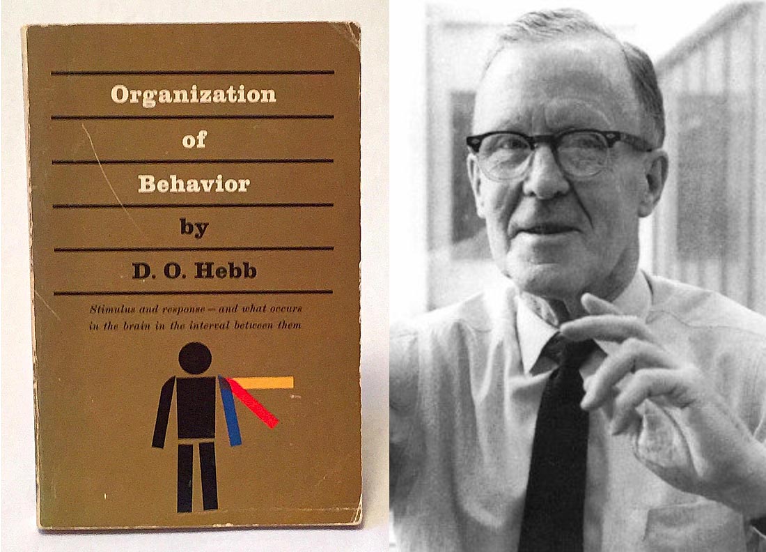 'The Organization of Behavior' by Donald Hebb, New York (1949).