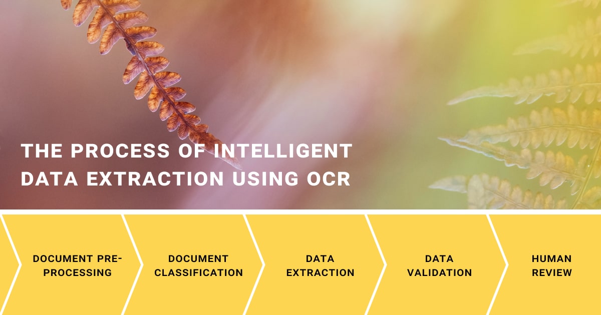 The process of intelligent data extraction using OCR