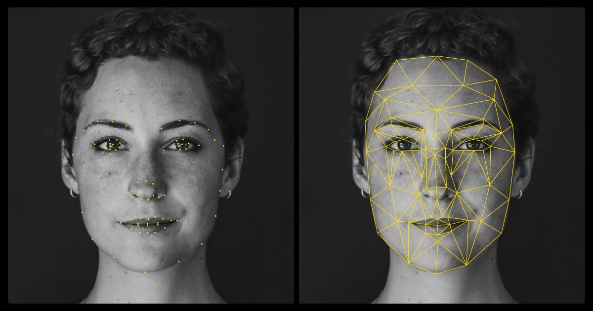 Face keypoint detection