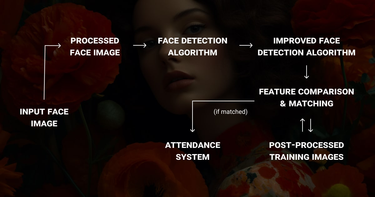 The mechanism behind a facial recognition algorithm