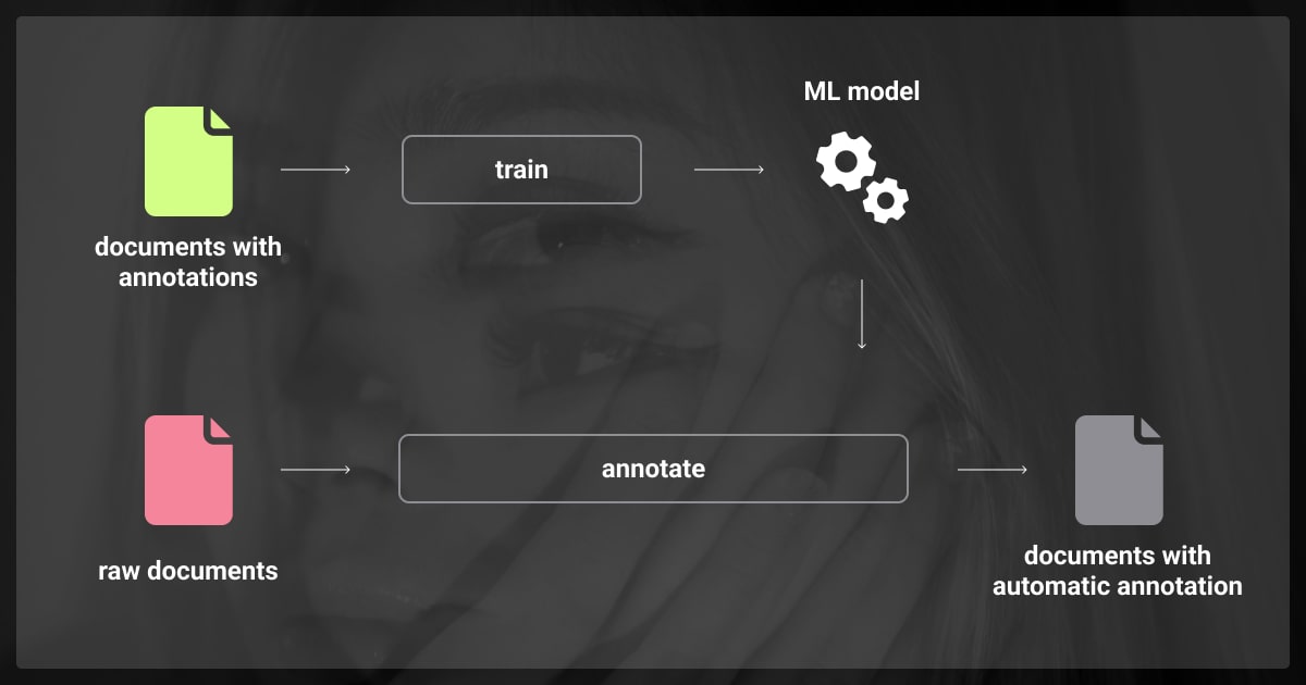 Training a named entity recognition (NER) model