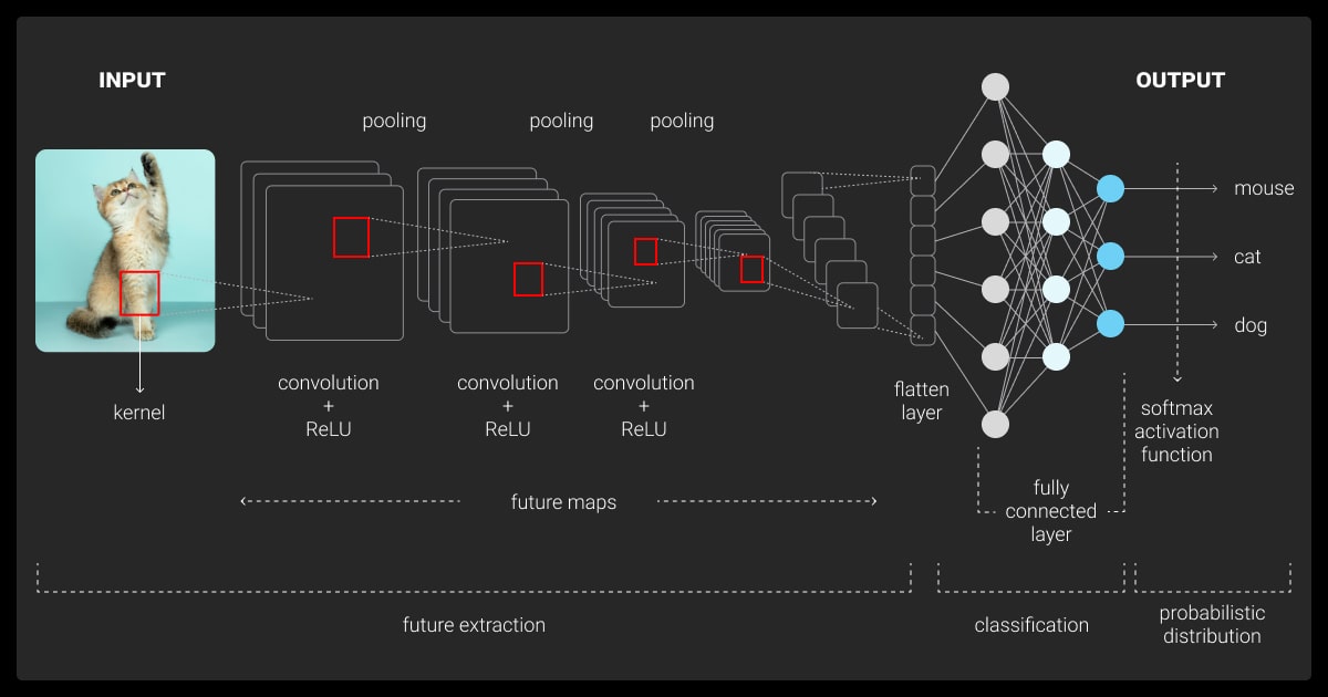 Convolutional Neural Network (CNN)