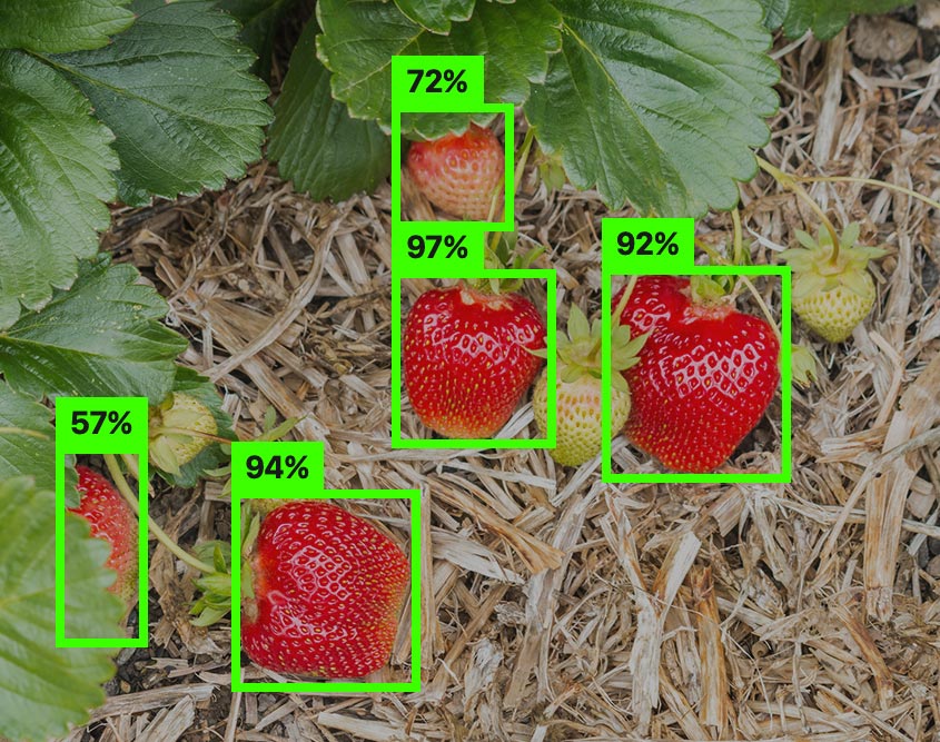 Detection and classification of ripe fruits from an image