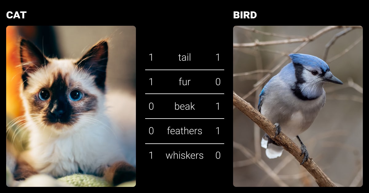 Semantic embedding using attribute vectors (of a cat and a bird)