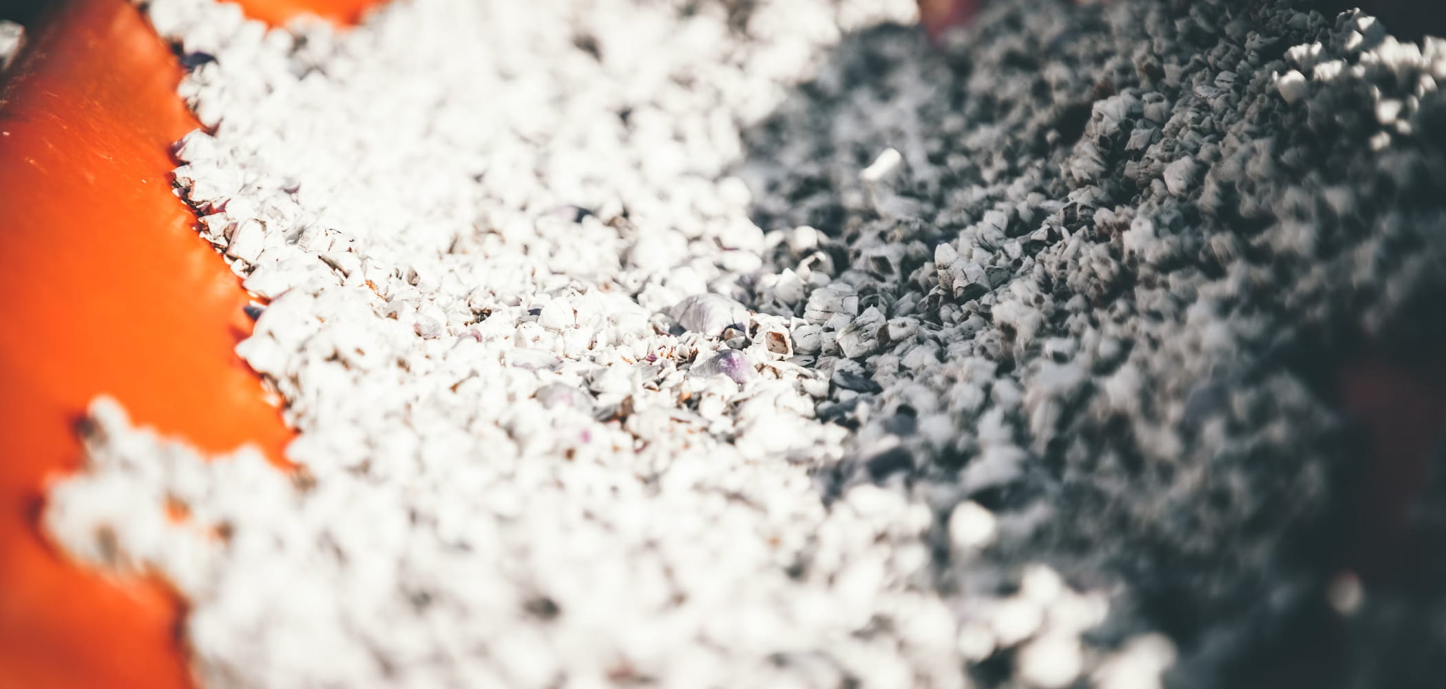 Machine Learning as a Service: What MLaaS Is and How to Make the Most of It