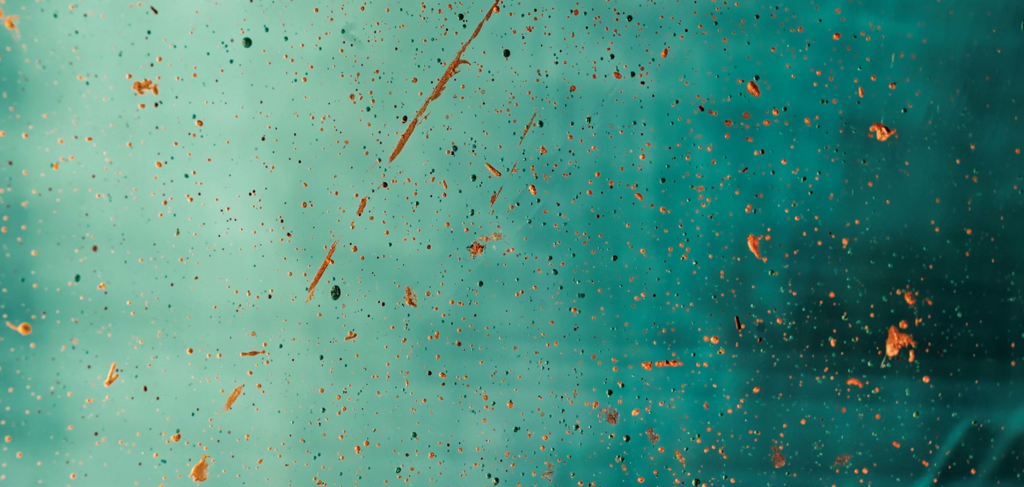 NLP Data Labeling for Finance: Deciphering the Language of Money