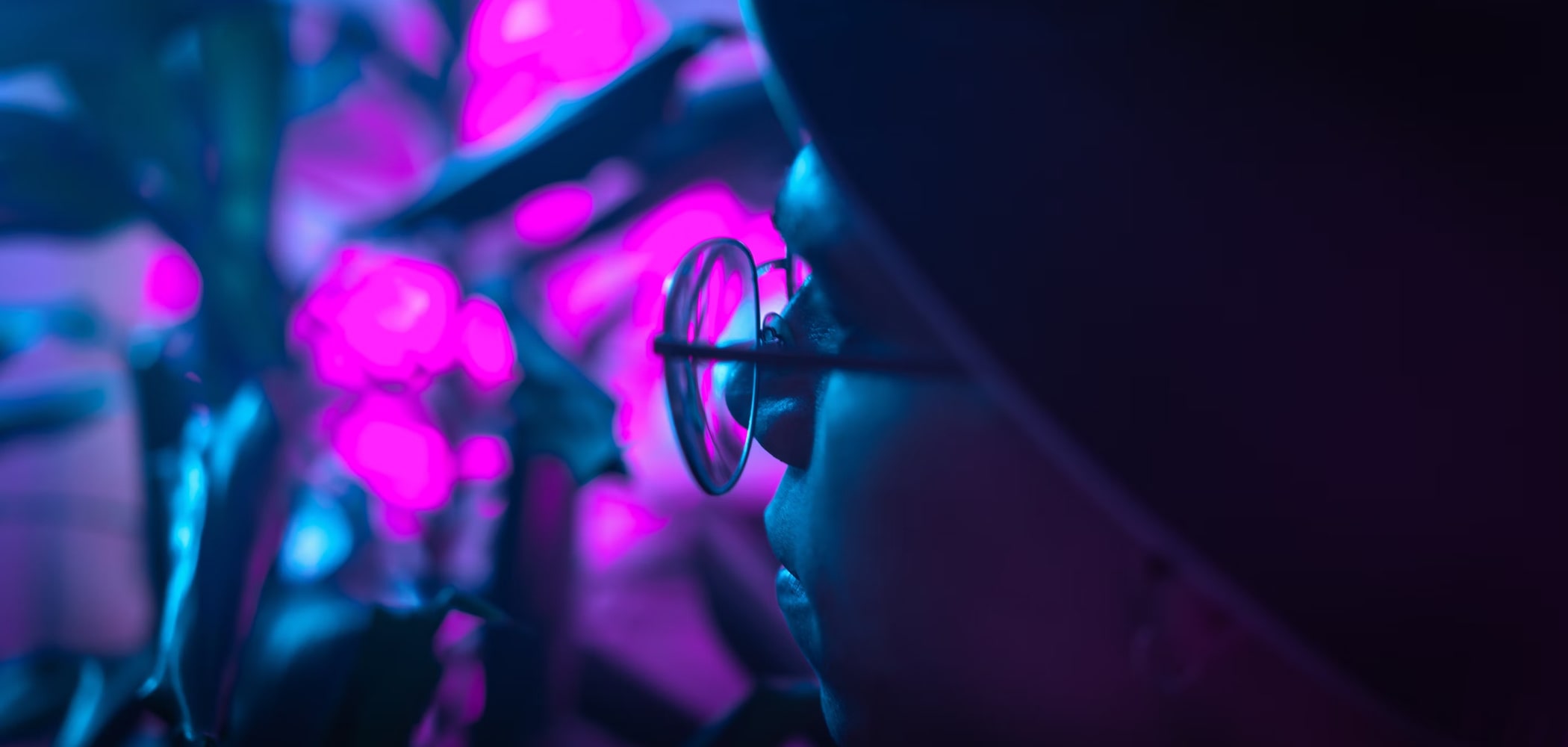 What’s the Difference Between Image Classification & Object Detection?