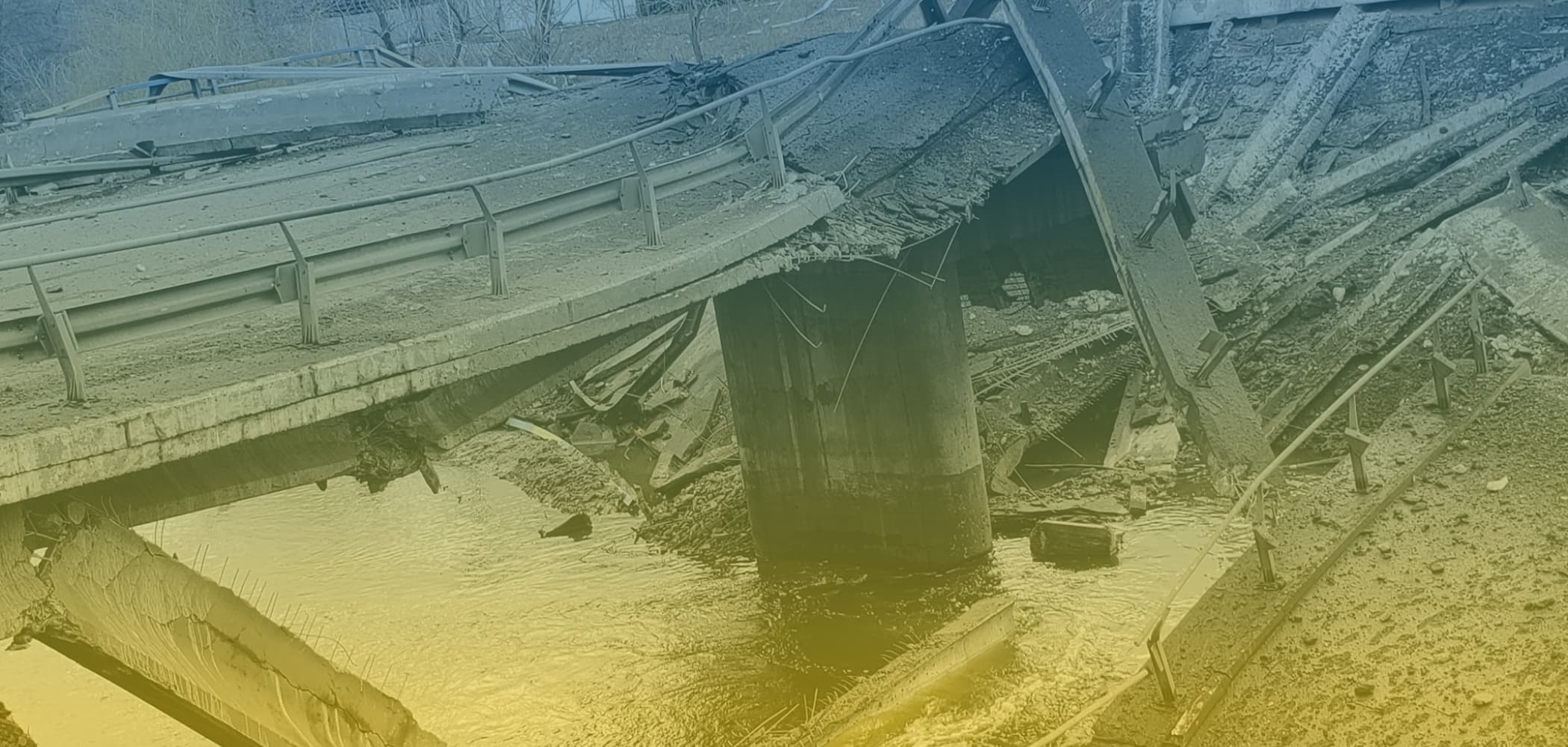 The War Stories from Label Your Data