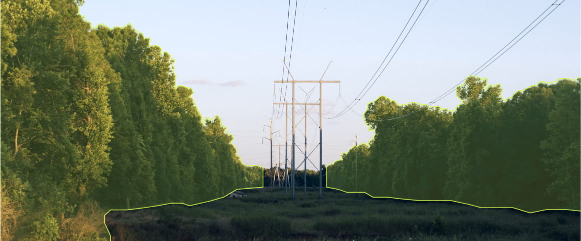 Right-of-way vegetation management for power line clearance