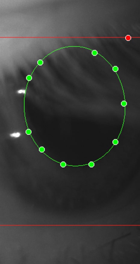Annotated eye image with green ellipse mask showing pupil segmentation for computer vision training