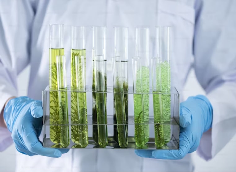 Scalable Medical Data Annotation for BioTech