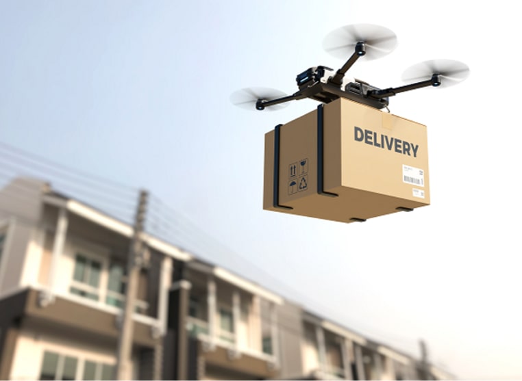 Data Annotation for Drone Delivery Precision