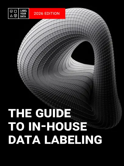bg_the-guide-to-in-house-data-labeling