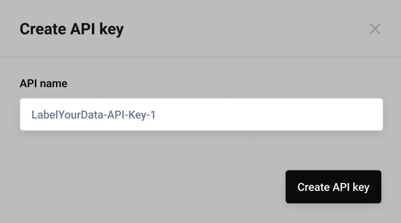 Label Your Data platform: API access