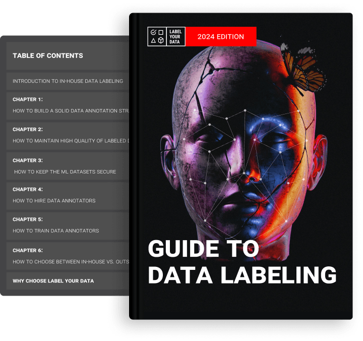 The Guide to In-House Dataset Labeling