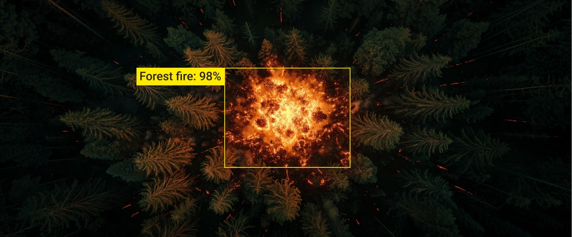 Damage detection for disaster response