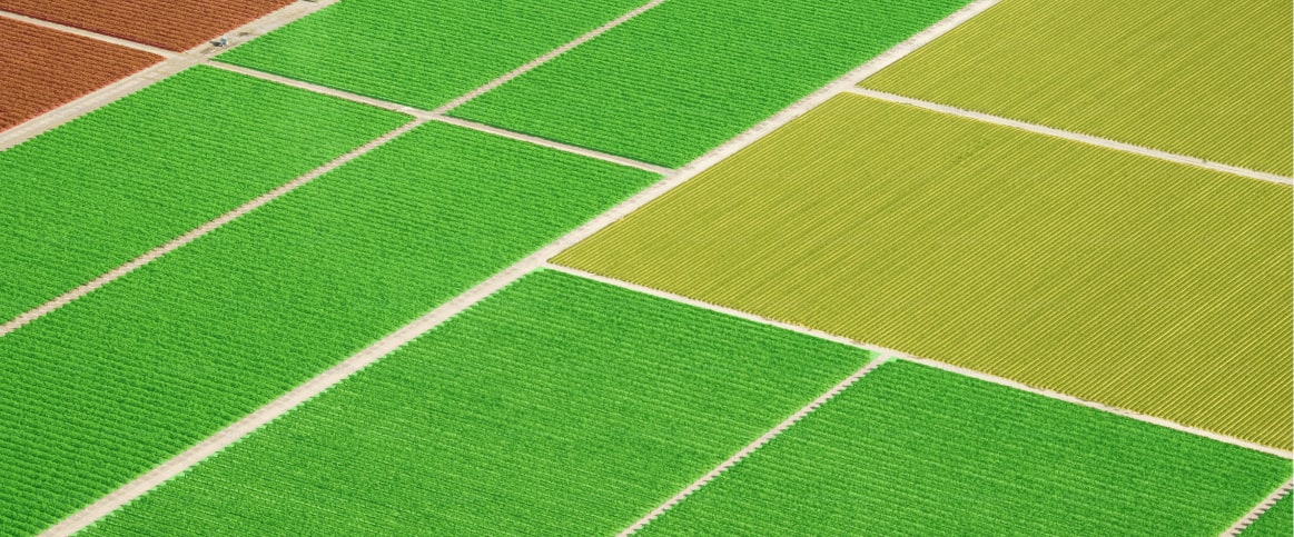 Yield estimation for agriculture
