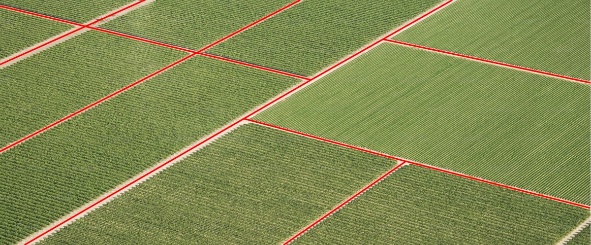 Example of precision agriculture using for field boundary delineation