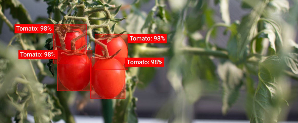 Example of precision agriculture using polygon annotation