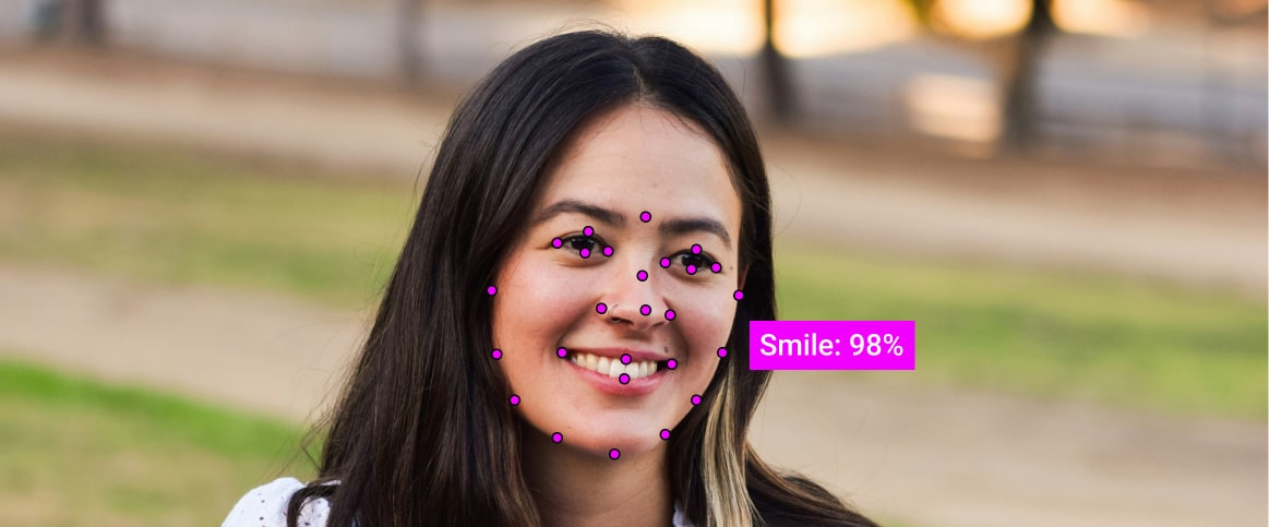 An example of a labeled emotion image, where the face is labeled using keypoints.