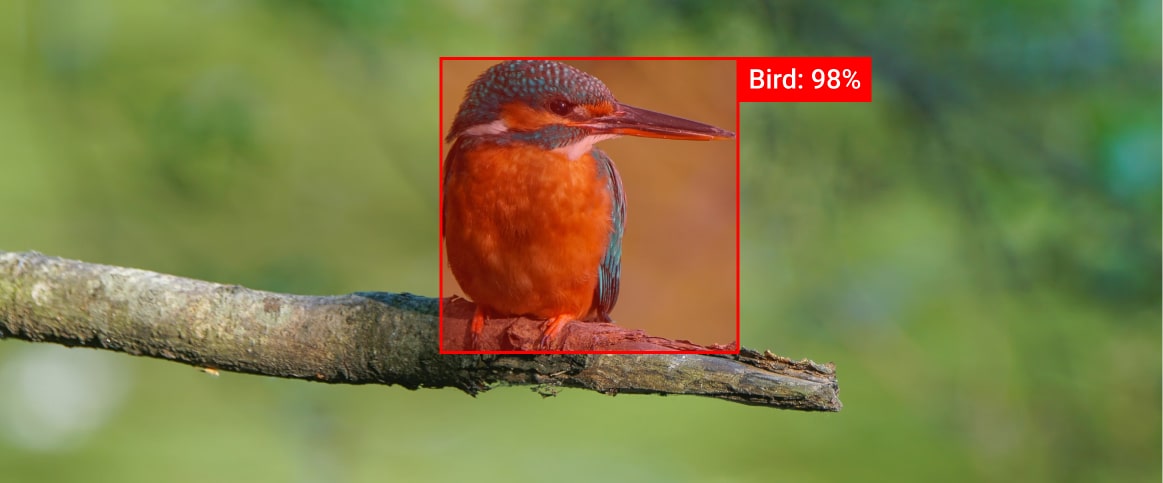 An example of object detection depicted as a bird in a rectangle labeling