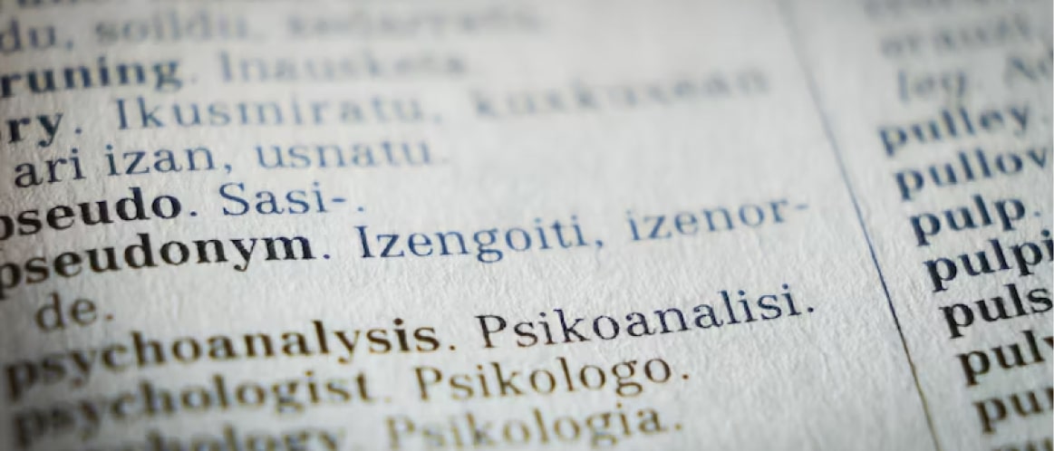For language-related research and understanding, we provide precise labeling and analysis of linguistic elements in text data.