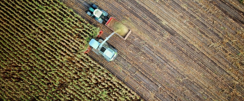 Semantic segmentation helps your computer vision 
                        models accurately analyze and monitor different crop regions 
                        in images, enabling precise crop monitoring and targeted 
                        interventions.